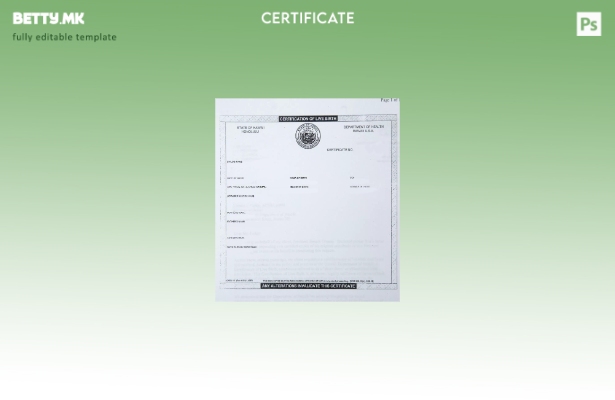 Модерен стил шаблон за извод од матична книга на родените на американското Минис